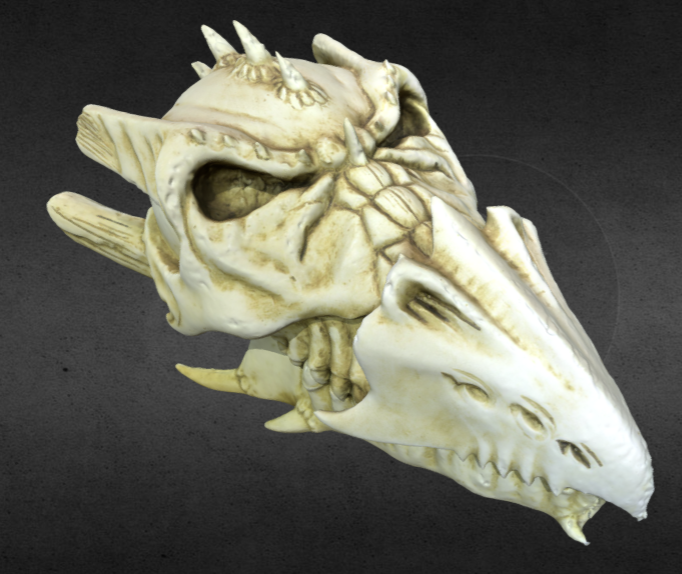 Dragon Skull ~ High Res