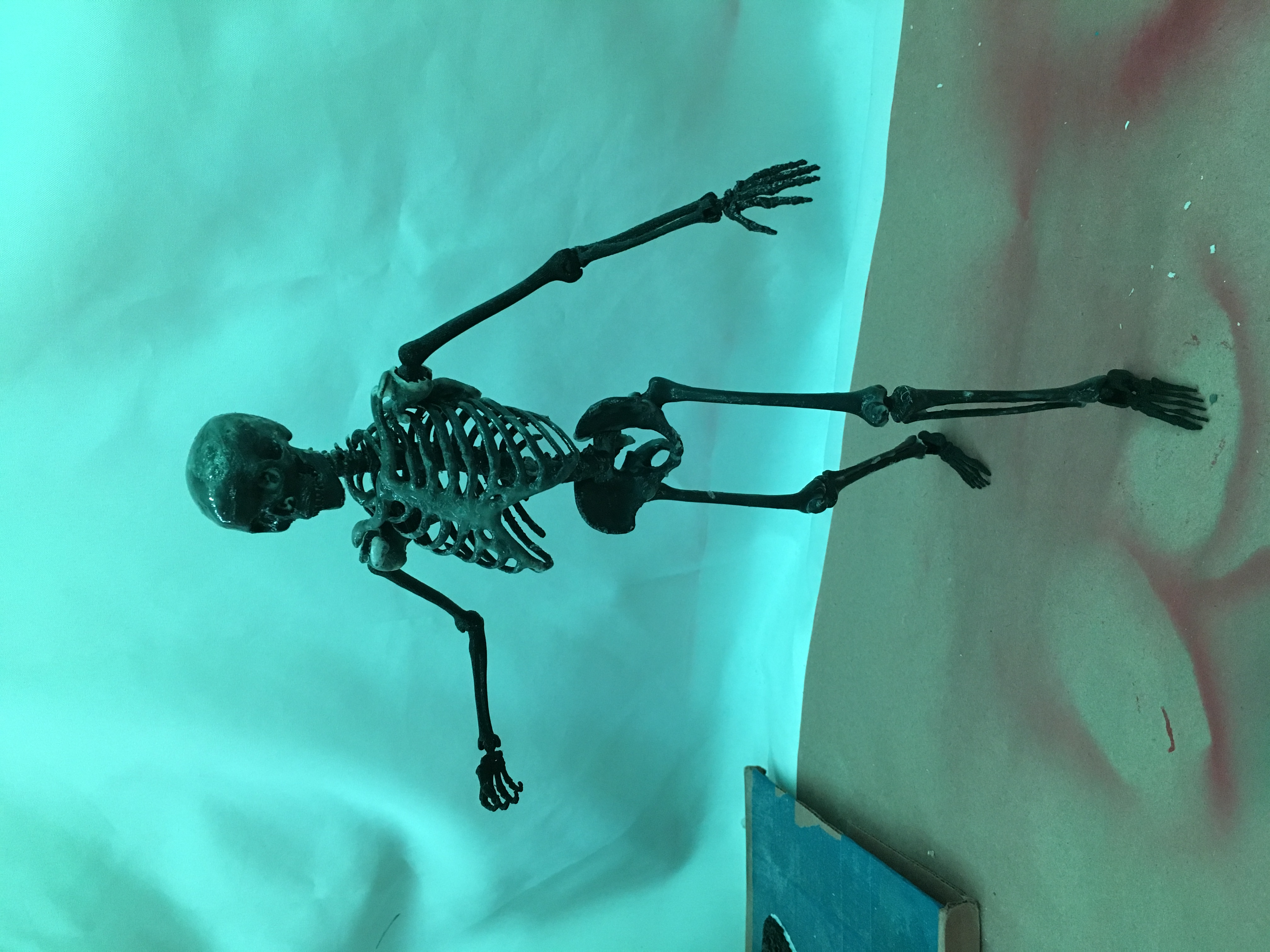 Posable Skeleton - Mr Bones Remix