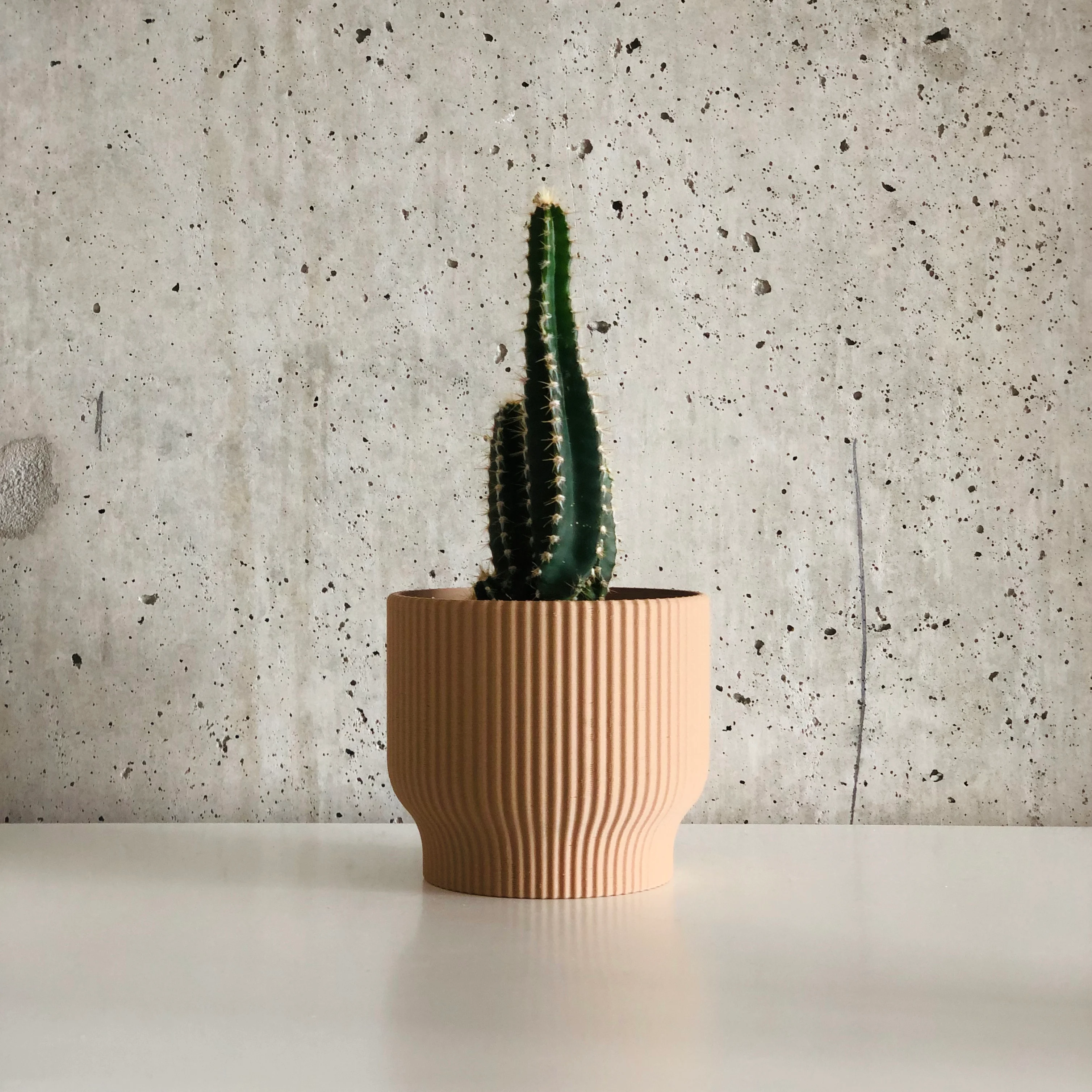 Pleated Pot