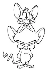 Pinky and The Brain Animaniacs wall art