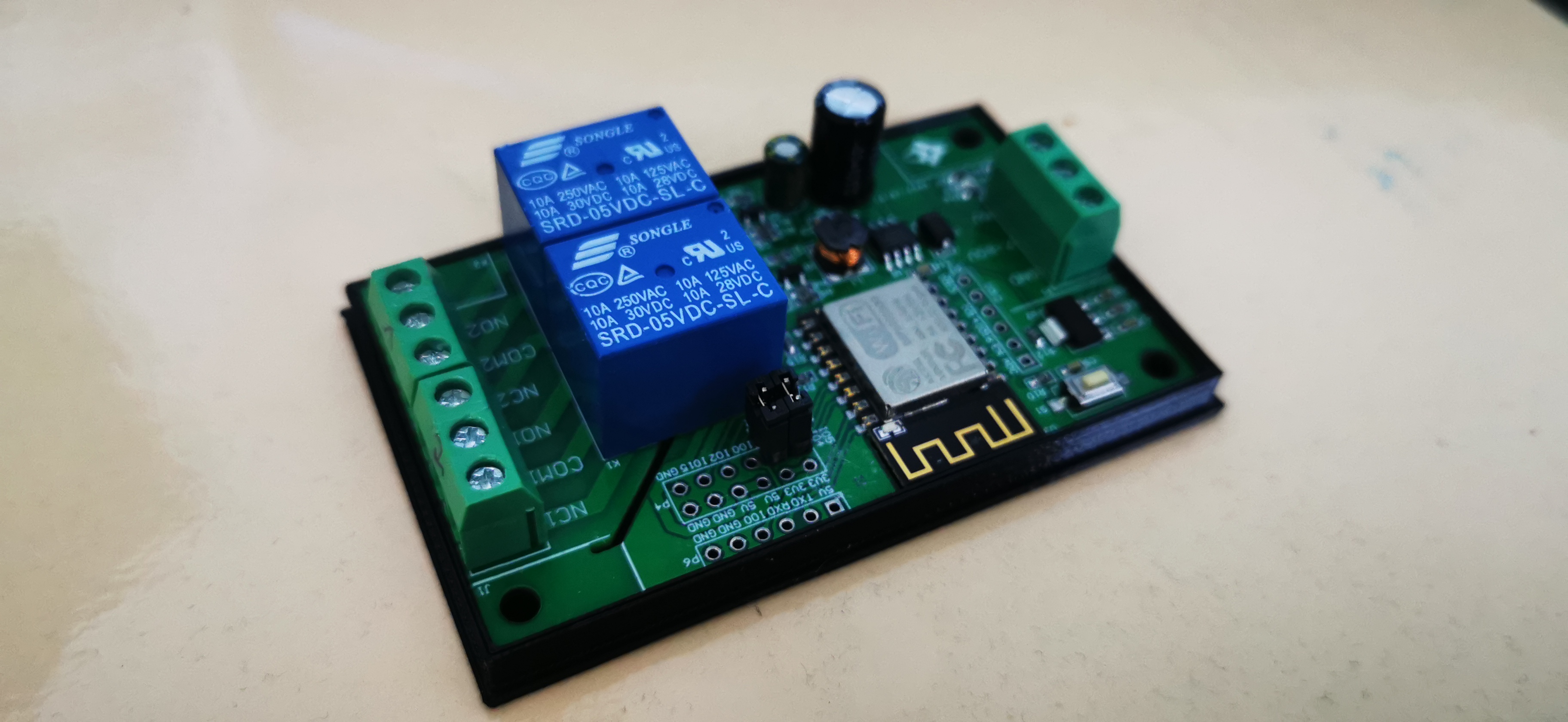 ESP12F Relay X2 Case Housing Enclosure