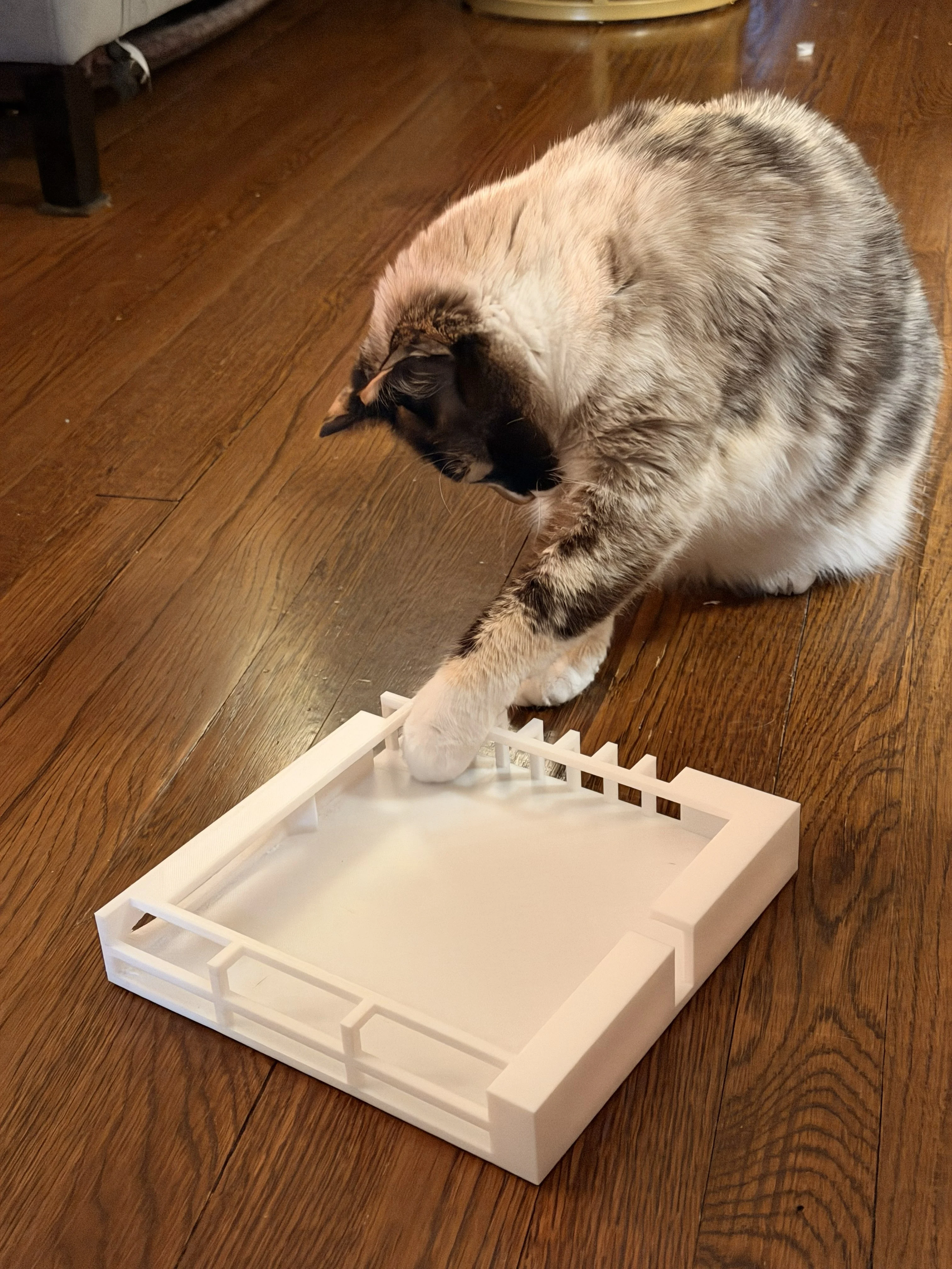 Cat Marble Toy Playpen