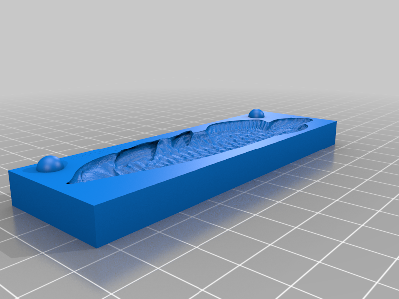 Aruanã - teste de molde- Mold test