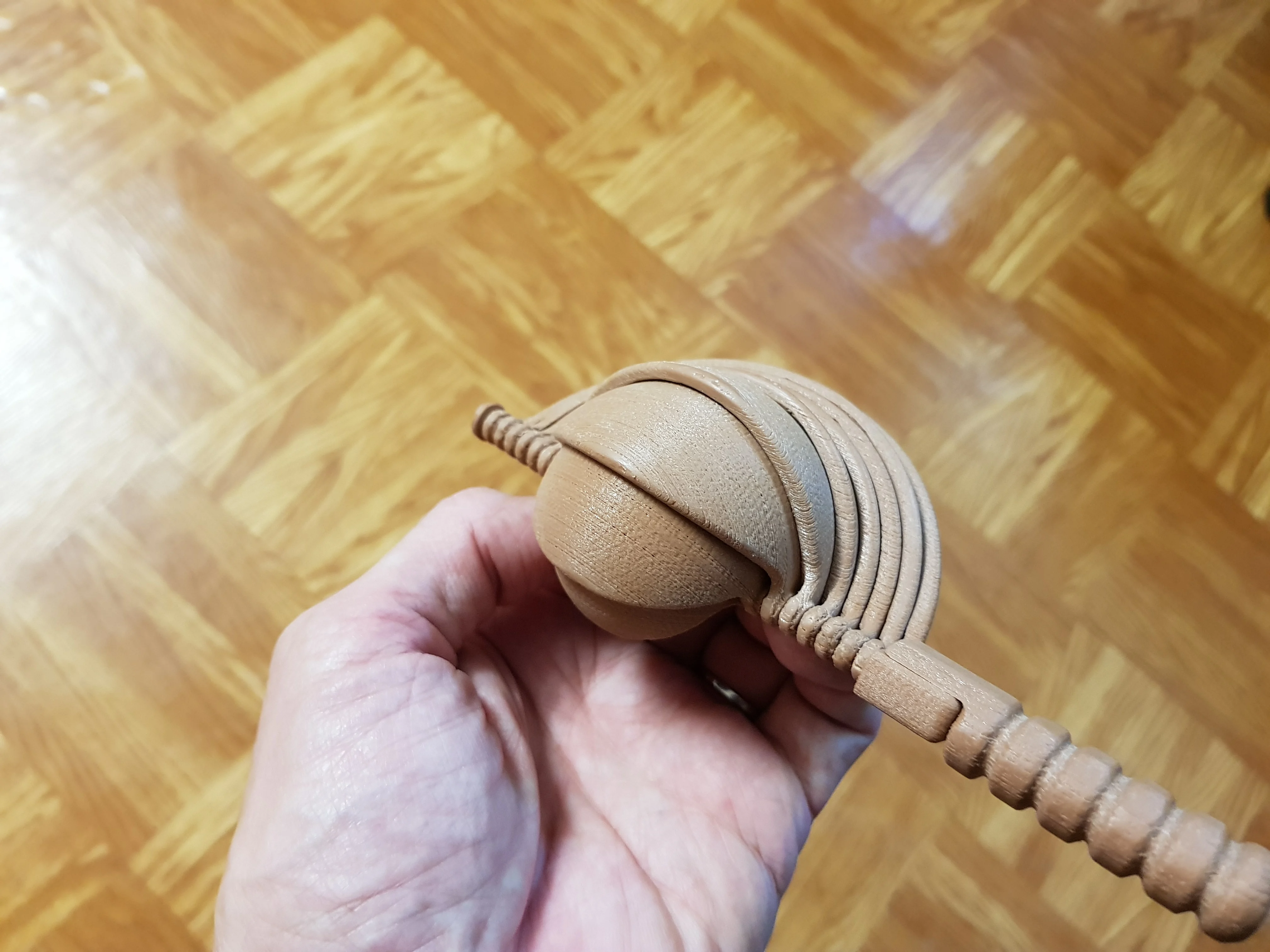 Coquille spirale - Spiral Shell