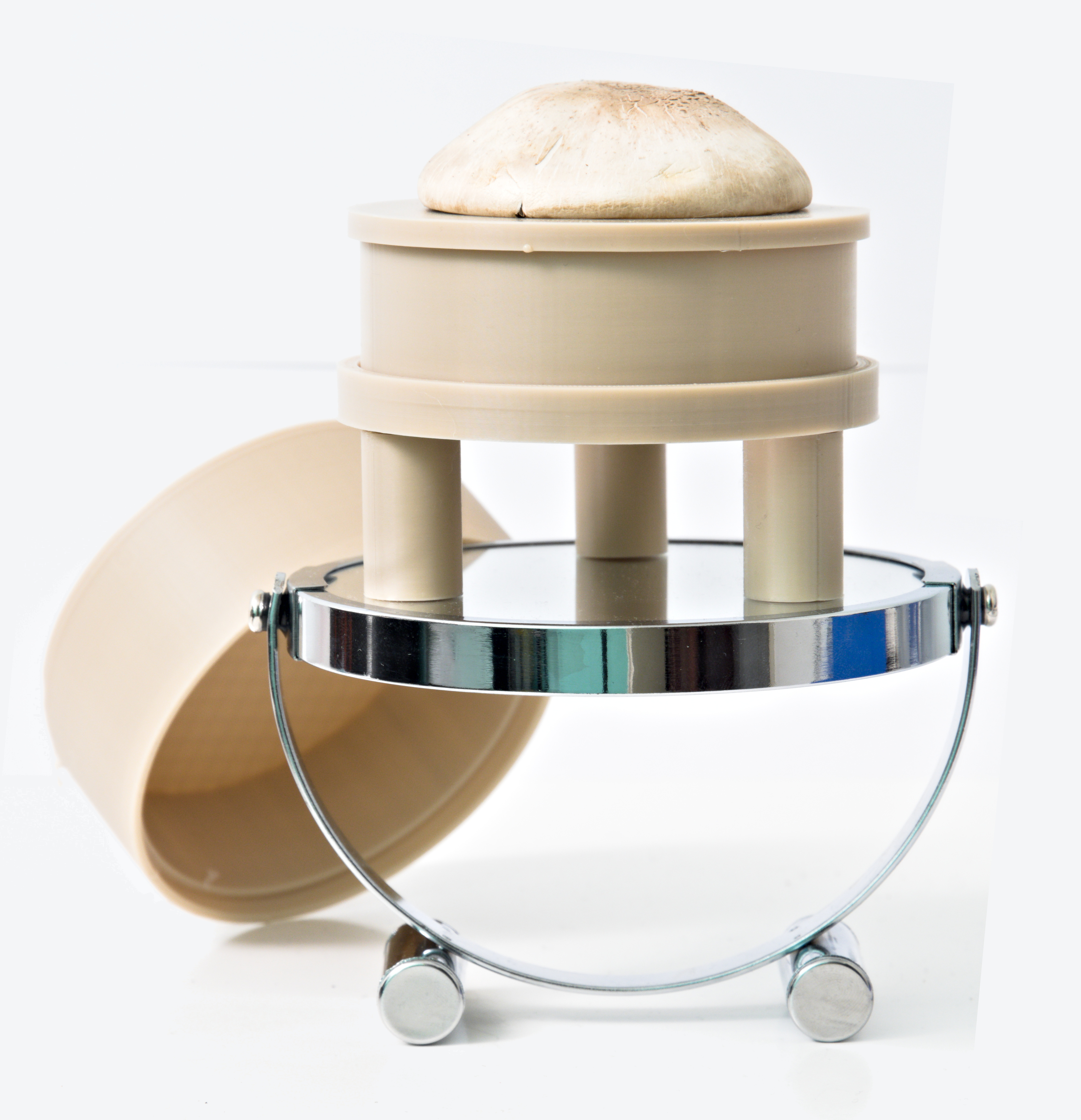 Mushroom Spore Printer