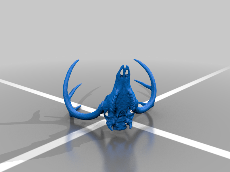 Deer Skull