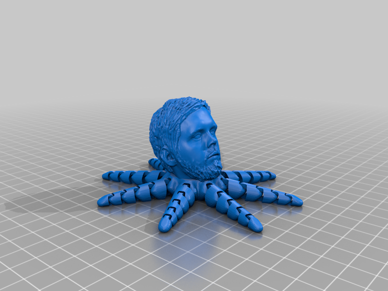 itsboyinspace octopus