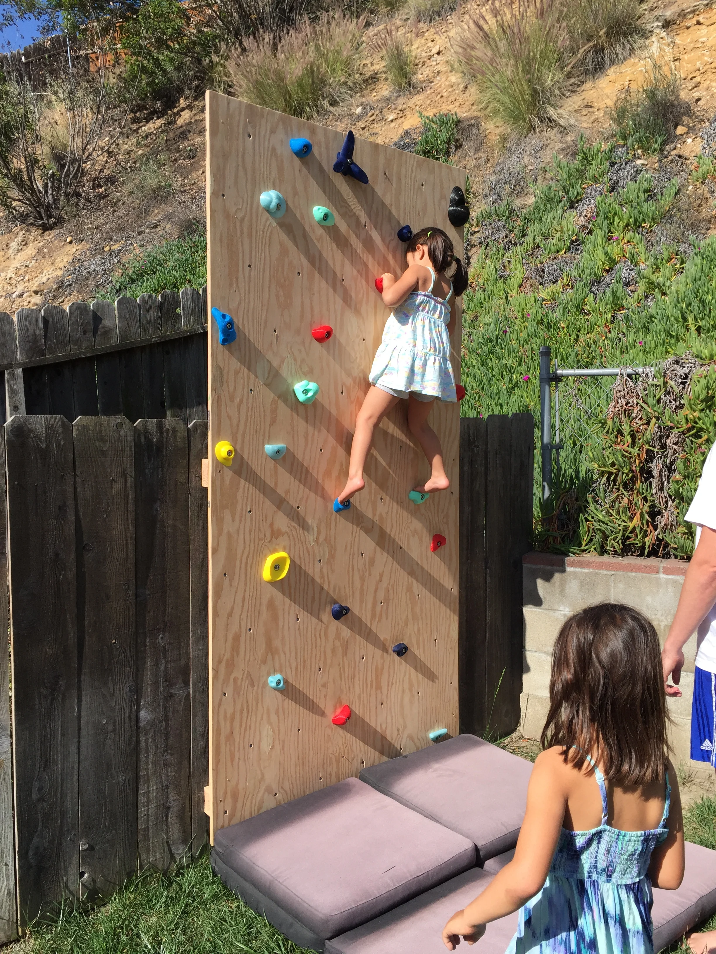 Kid Rock Wall Holds