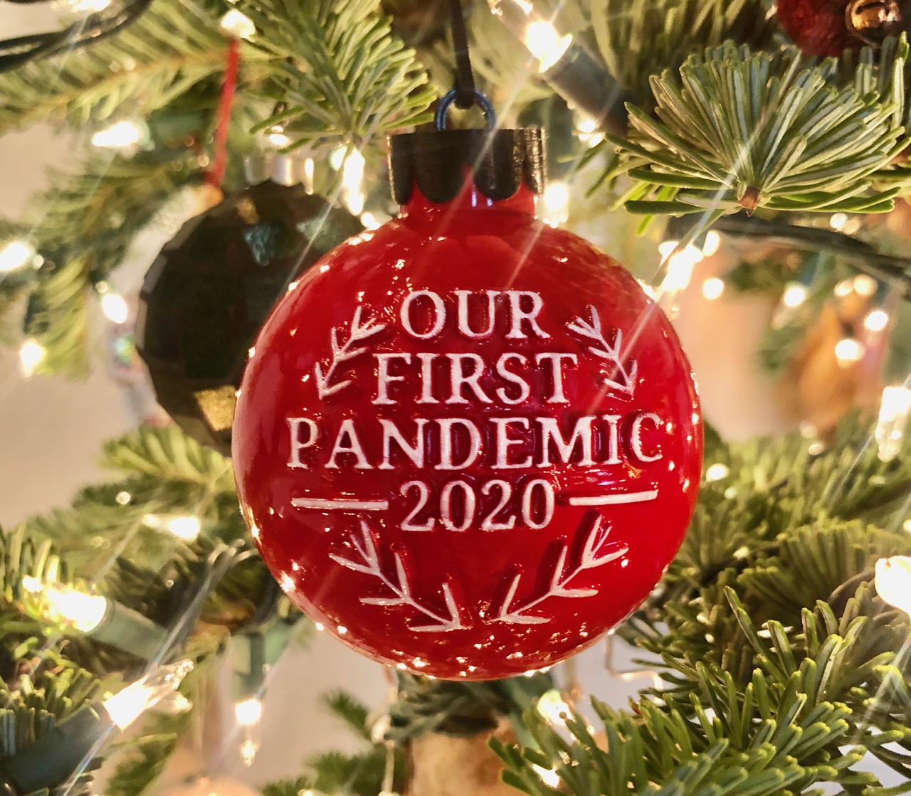 2020 Holiday Ornament - Our first pandemic