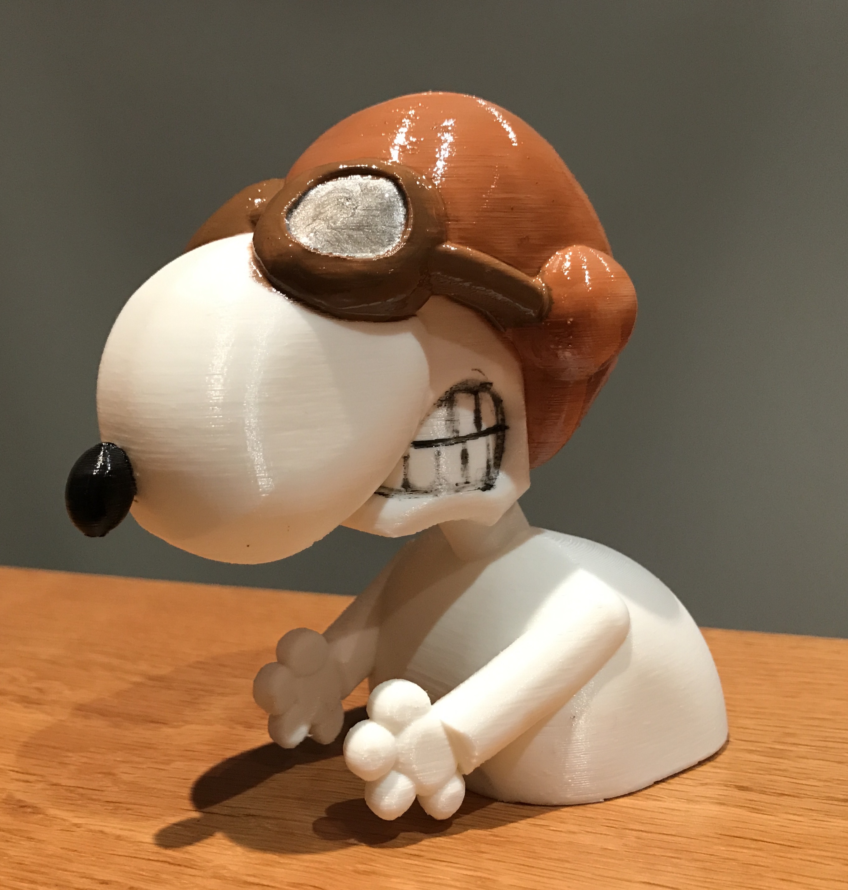 Snopdog ace pilot