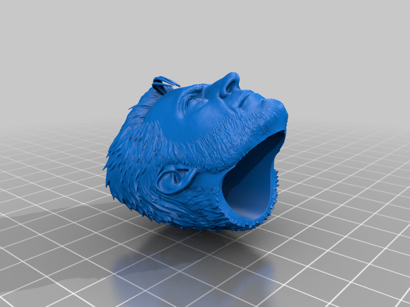 Wolverine headsculpt