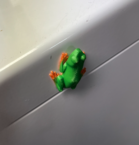 Frog Magnet