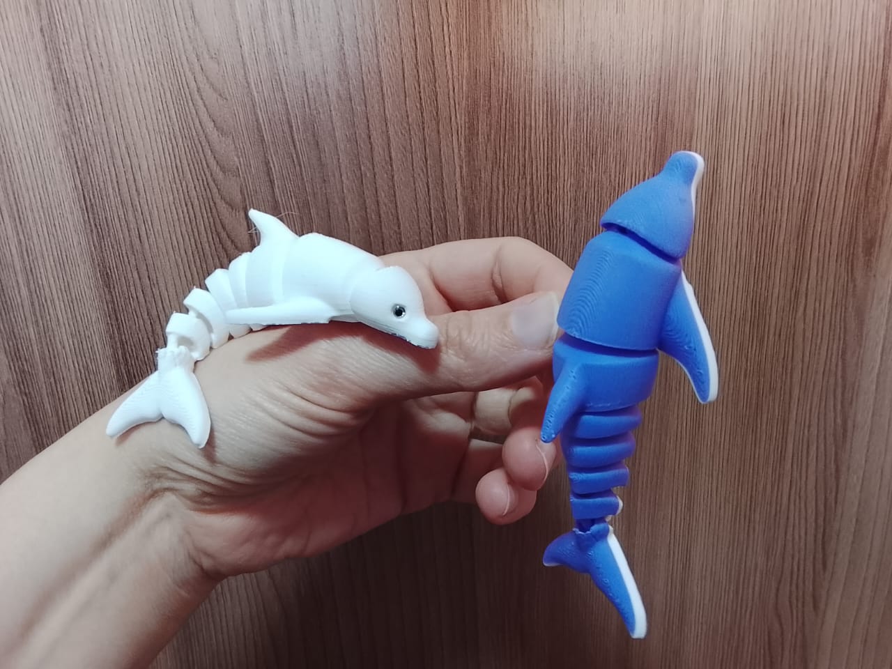 Flexi dolphin — Articulated dolphin Toy