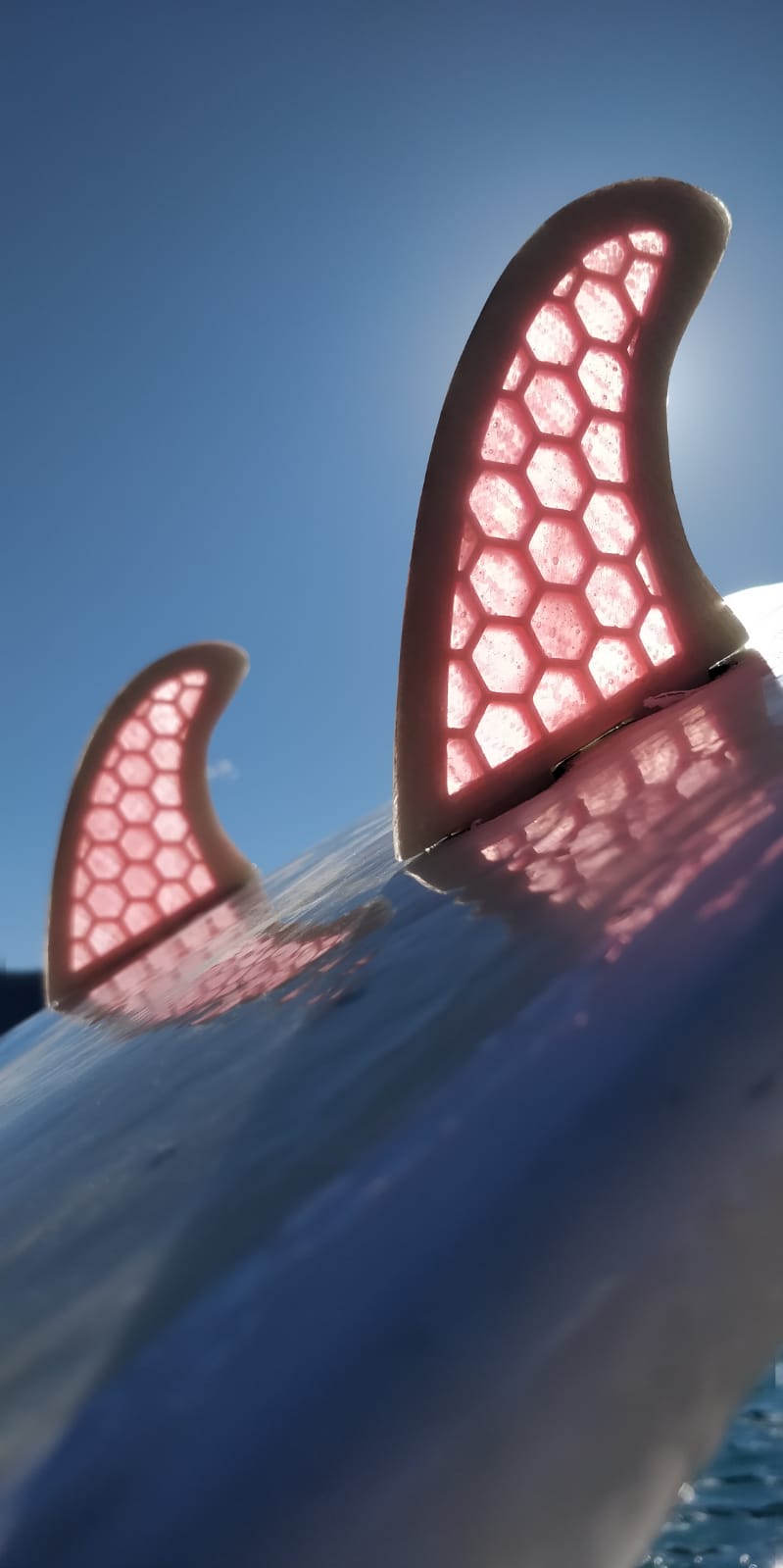 Wakesurf fins FCS