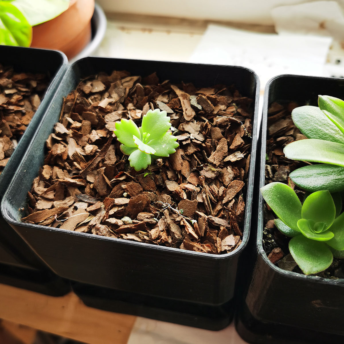 Rectangular pot