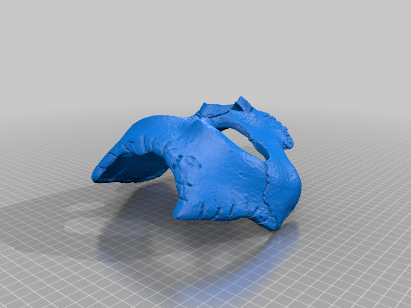 JAWBONE GHOST MASK from Call of Duty Modern Warfare 2019