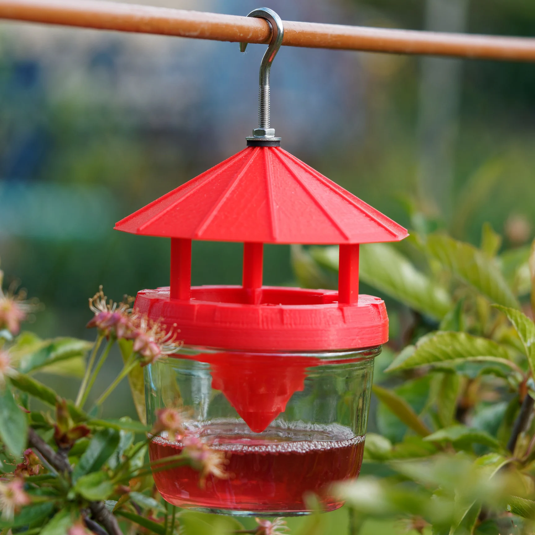fruit fly trap (Drosophila suzukii trap) for jar with twist off cap (TO82)