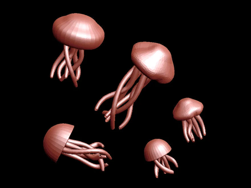 Jellyfish