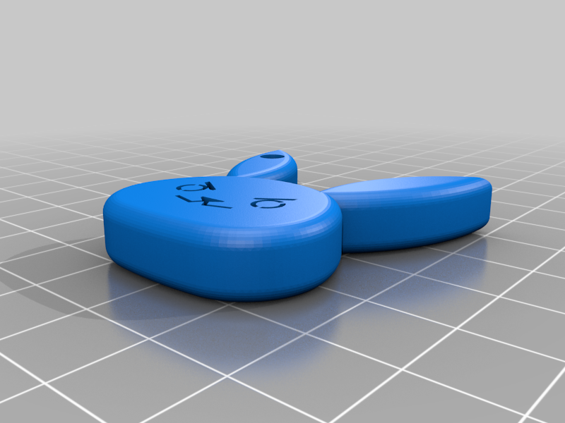DVA keychain