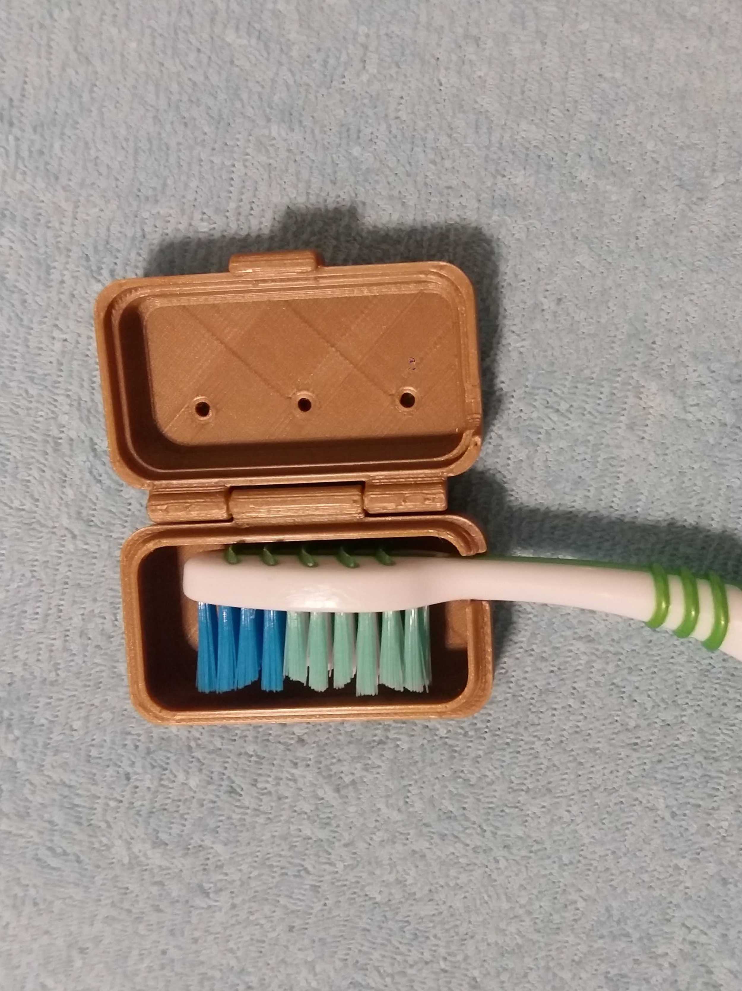 Toothbrush Case