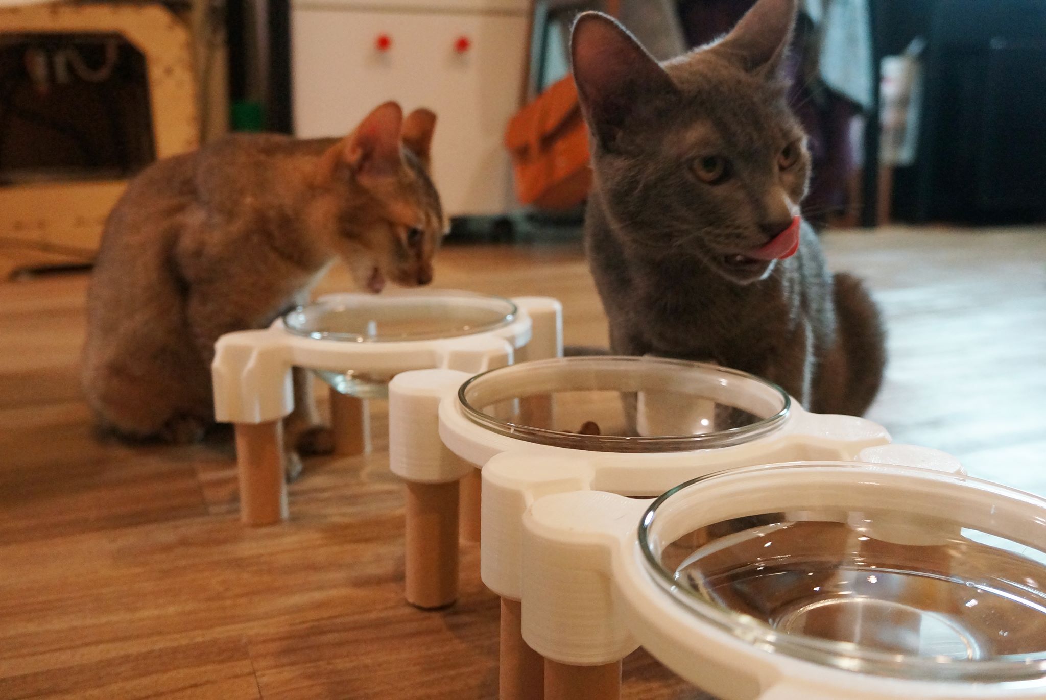 IKEA bowl stand for cats