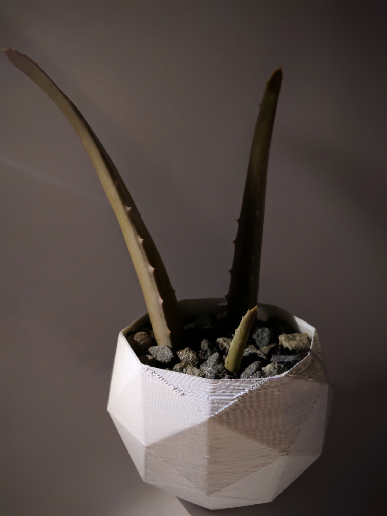 Low Poly Pot