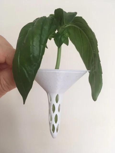 Mason Jar Lid to grow Basil from Cuttings