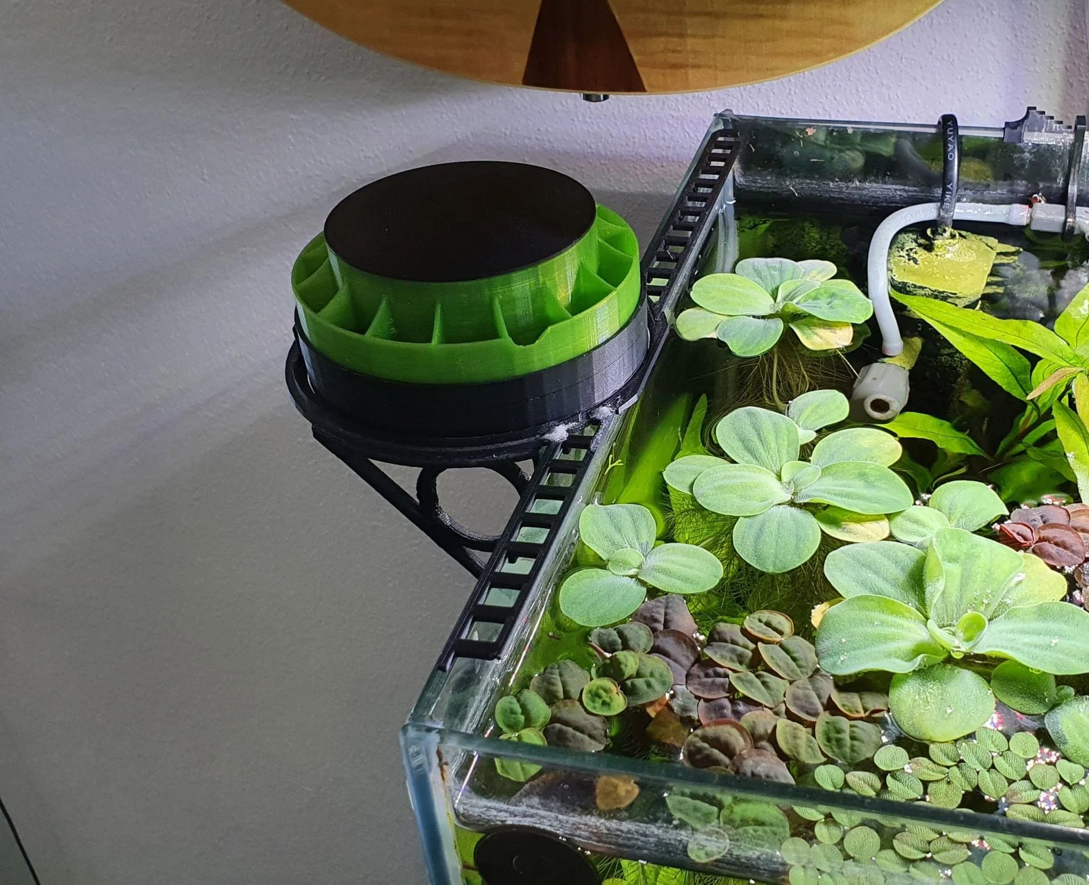 automatic fish feeder nano cube