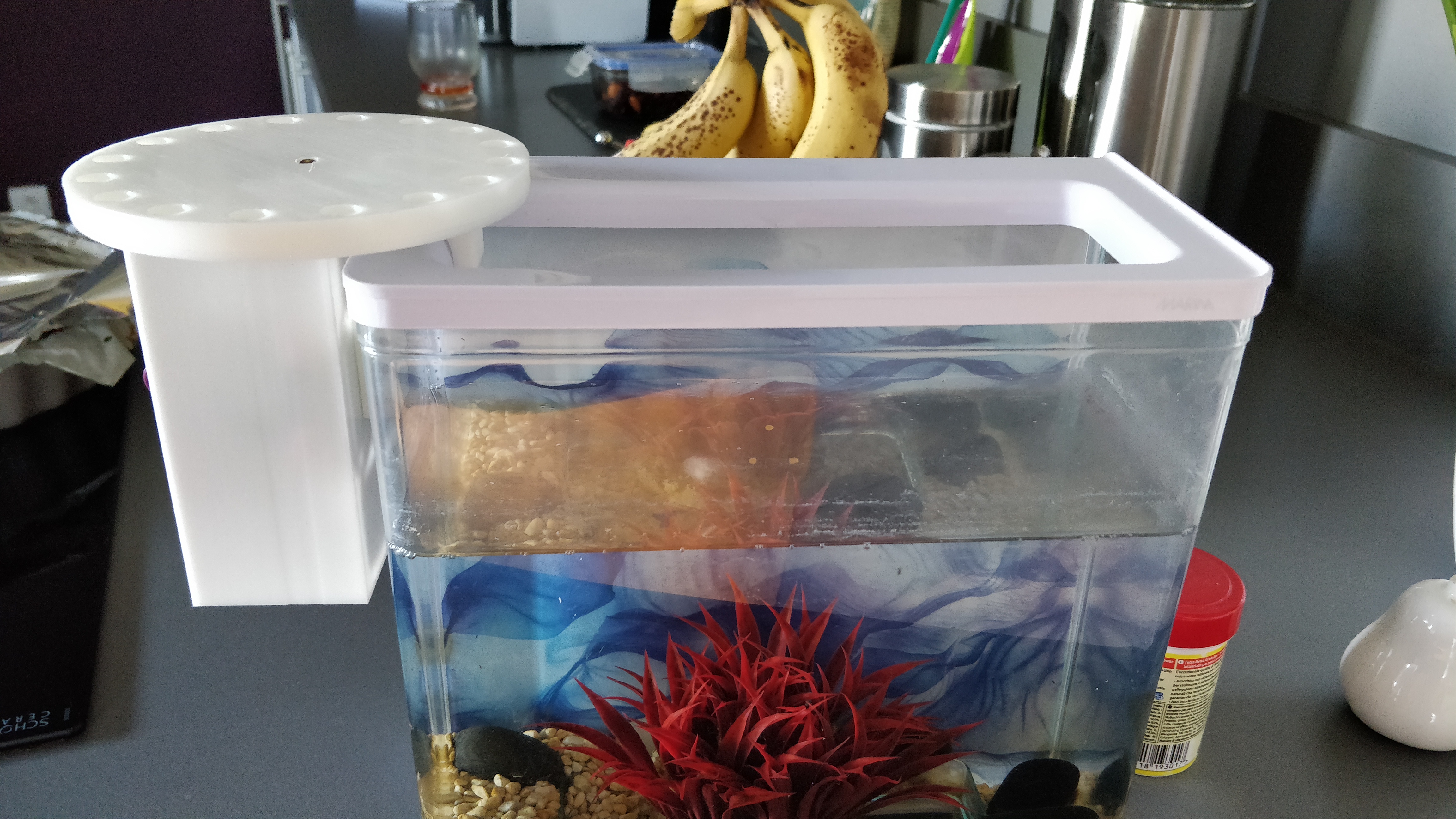 Fish feeder