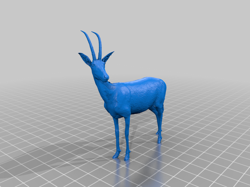 Blue Antelope by Natural History Museum of Vienna