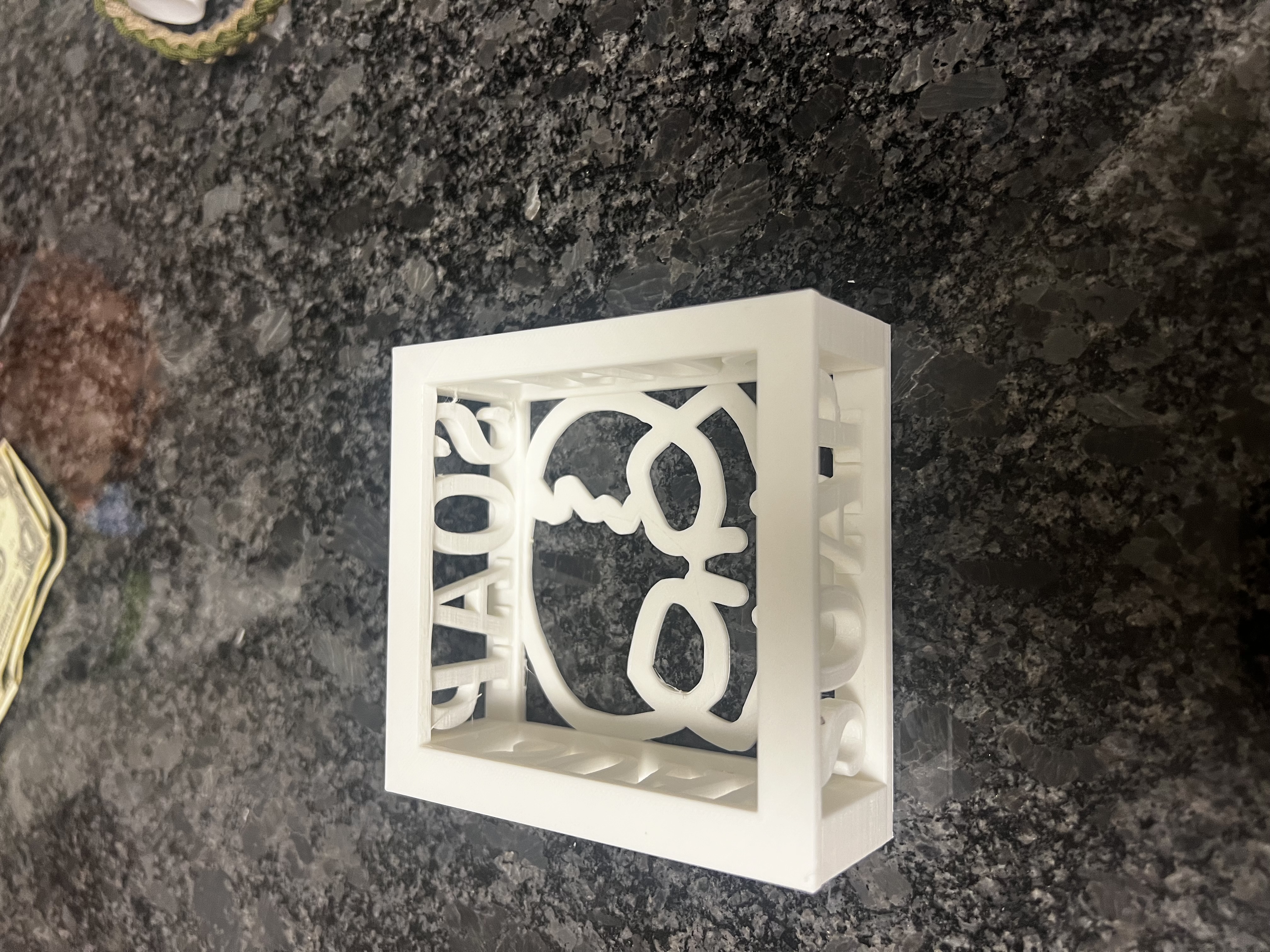 Skull Soap Dish