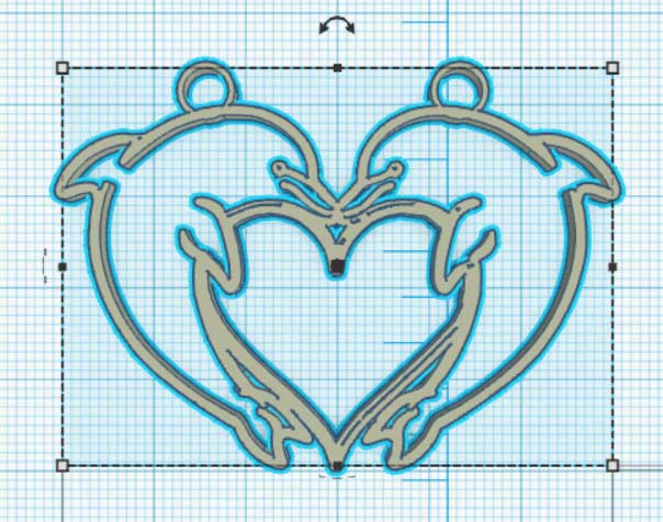 dolphin heart - coeur de dauphin