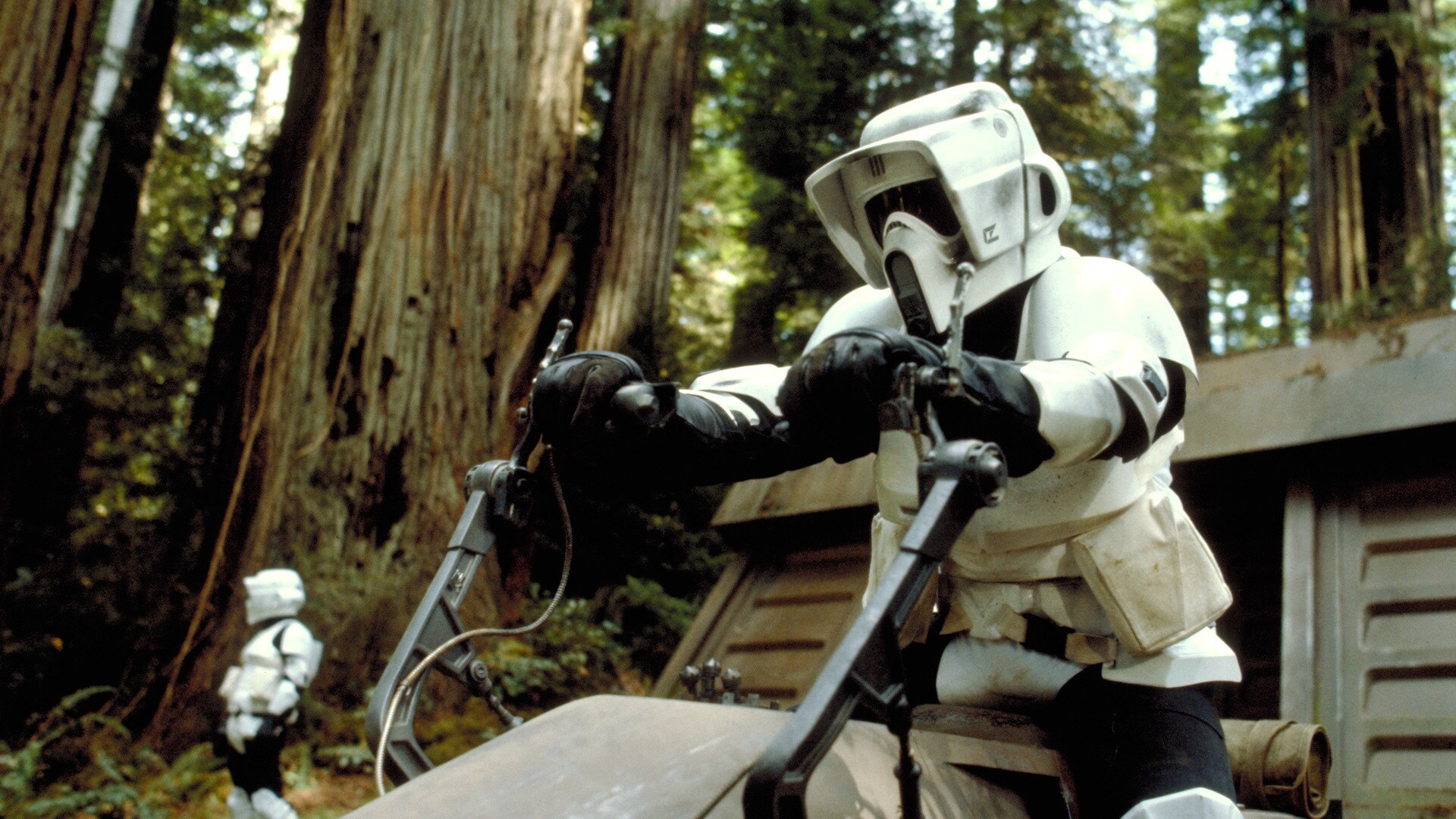 Scout Trooper helmet  cuted for small printers