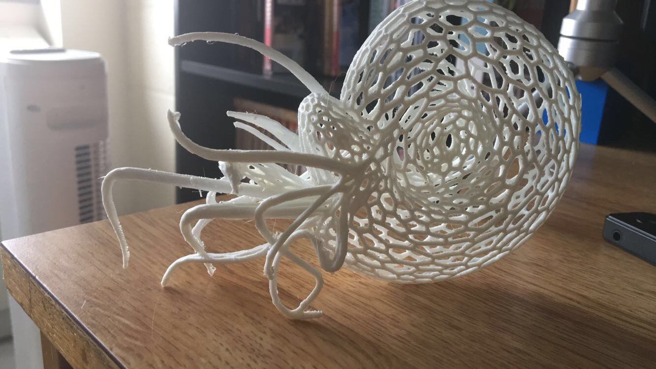 Nautilus!