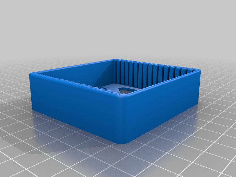 RAM sticks organizer