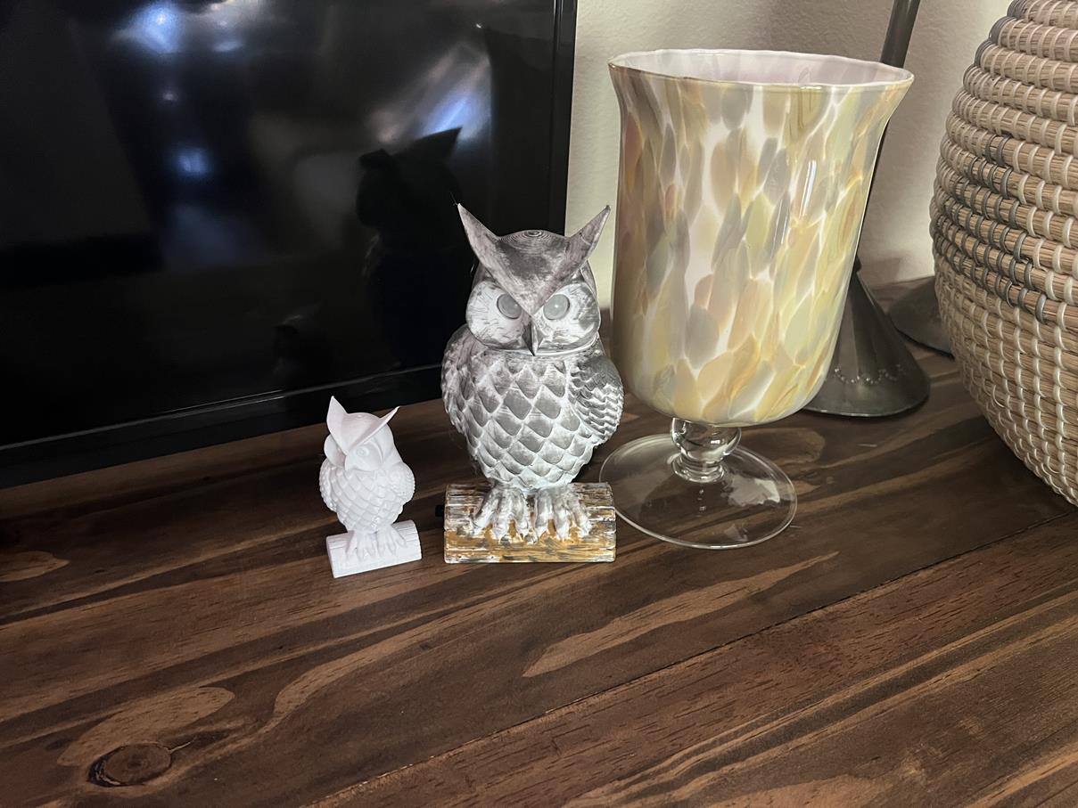 Owl Sensor