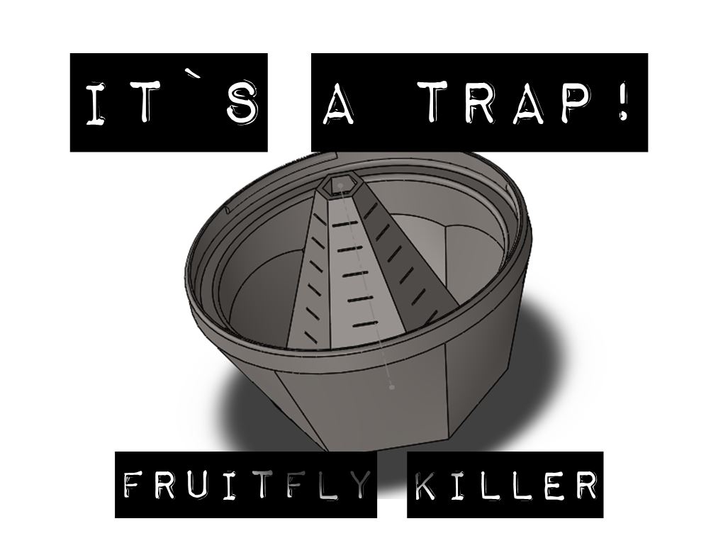 Funnel Fruit Fly Trap (Glass Cover) / Trichter Fruchtfliegenfalle