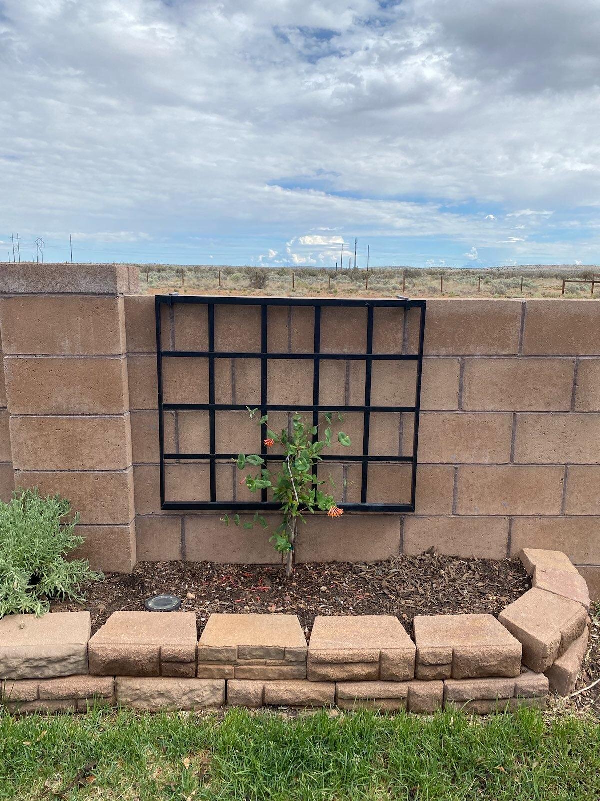 Hanging Trellis Wall Hook