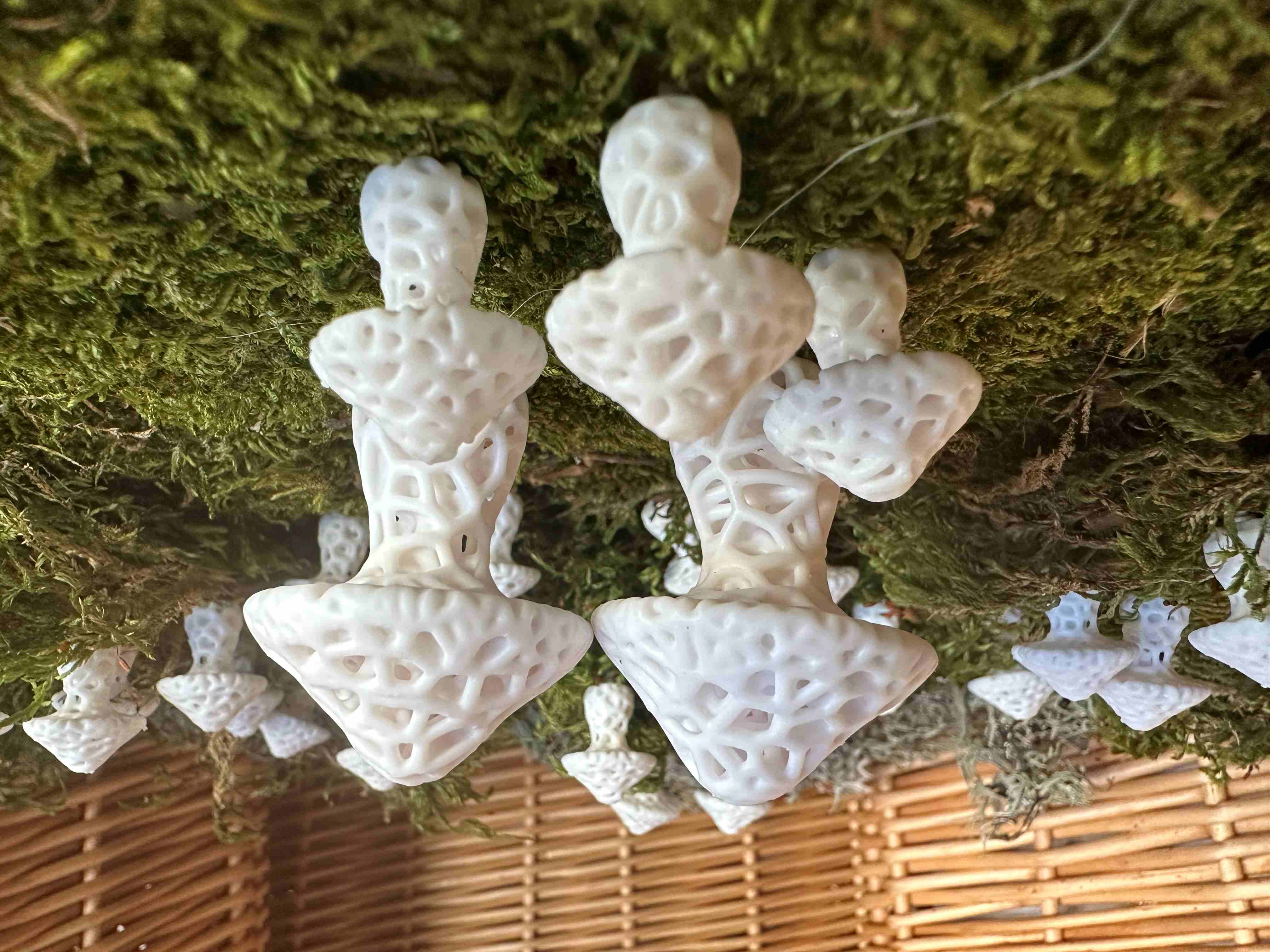 Stochastic Mushroom Magnets