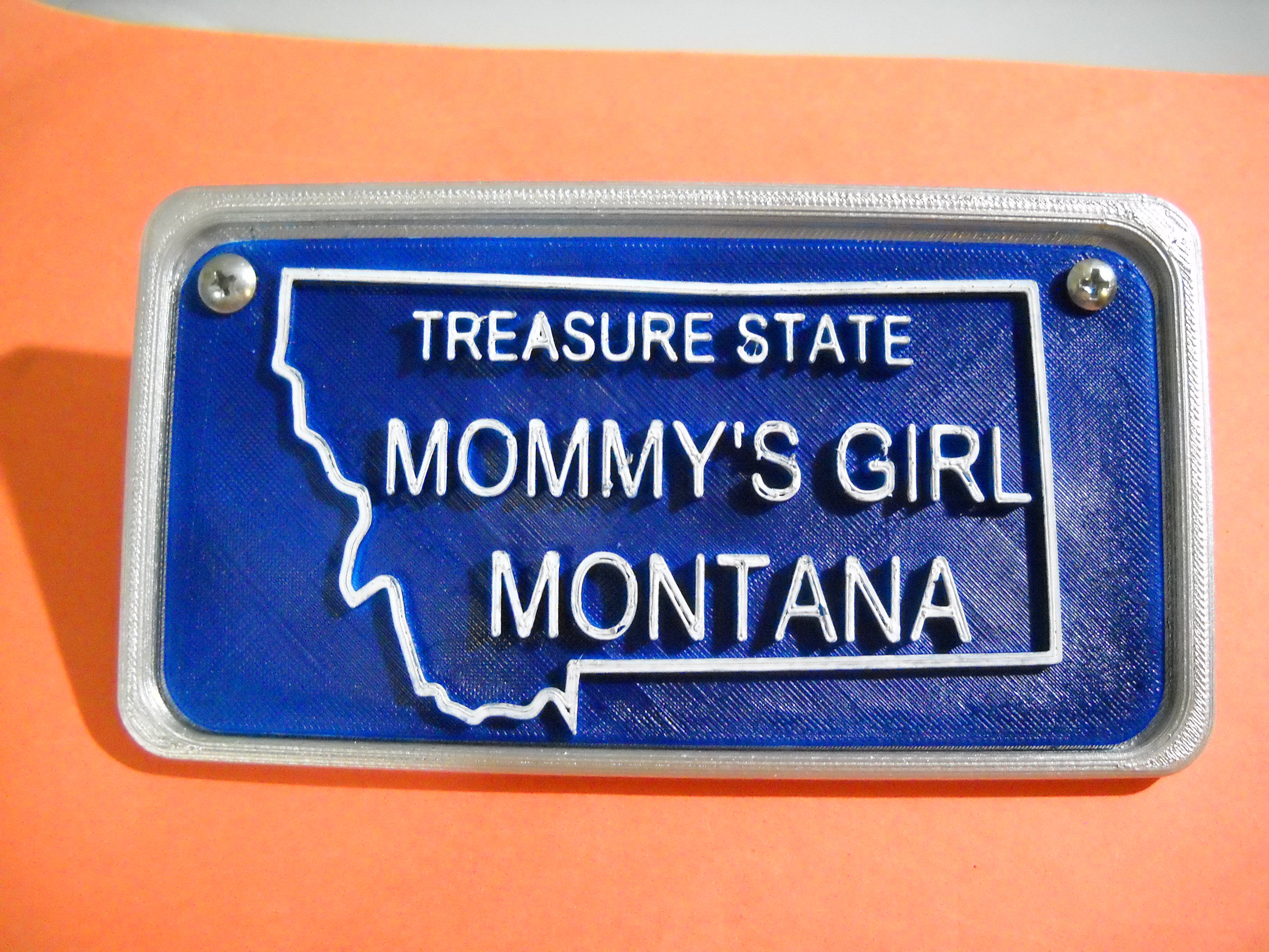 bycycle or trycycle License plates and frame and bracket
