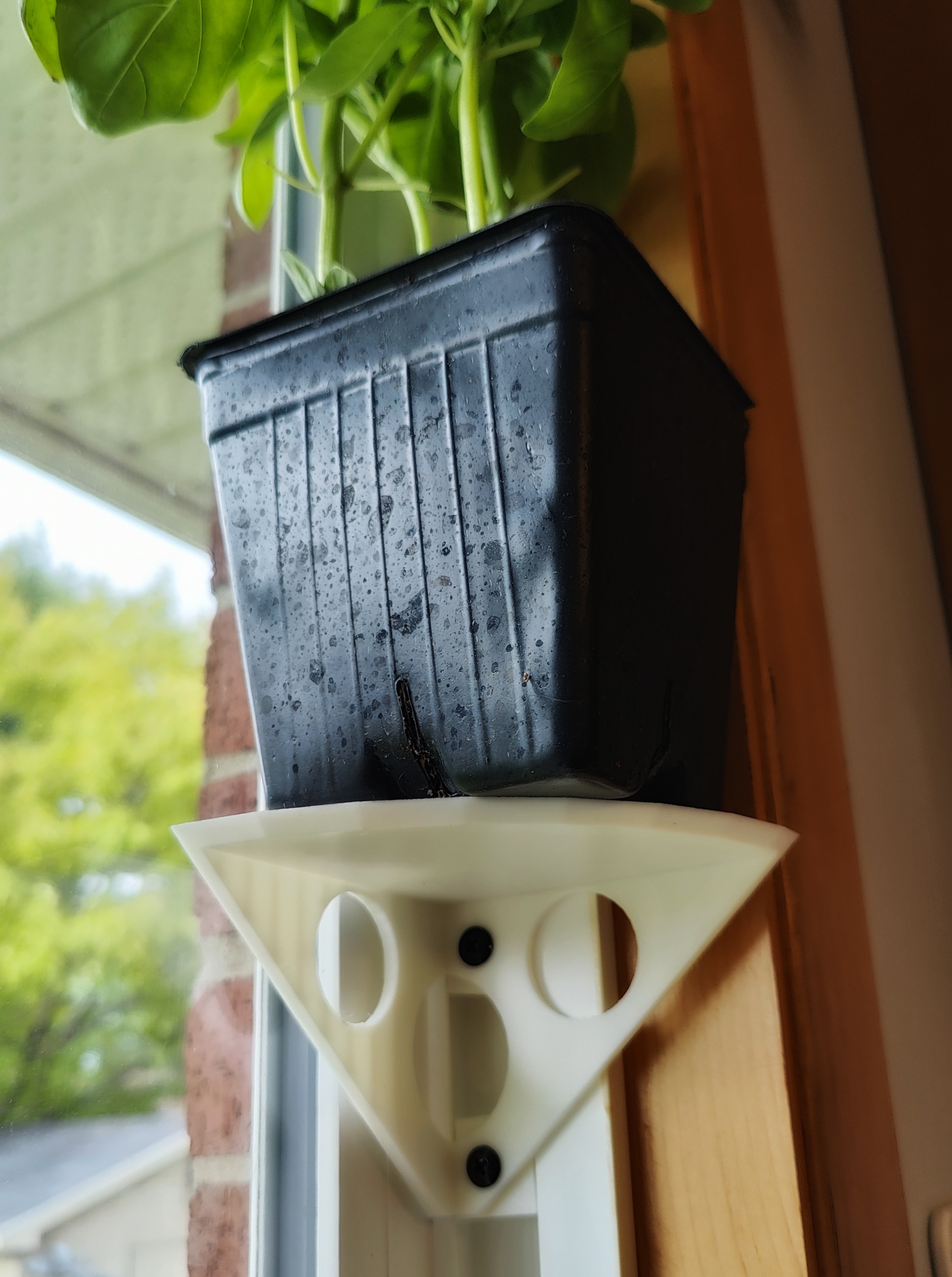 Window Shelf for Plant