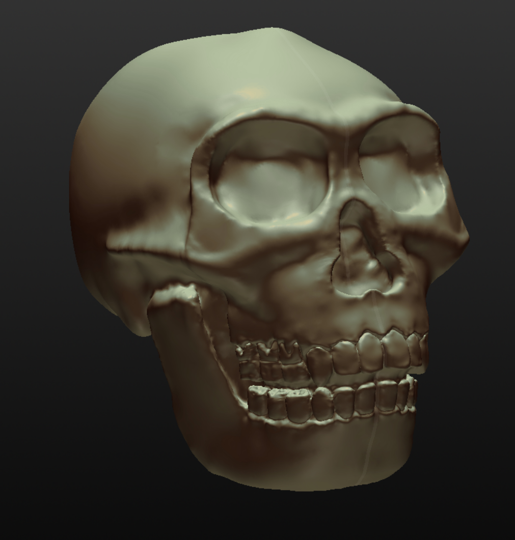 Georgia the Homo Erectus Georgicus