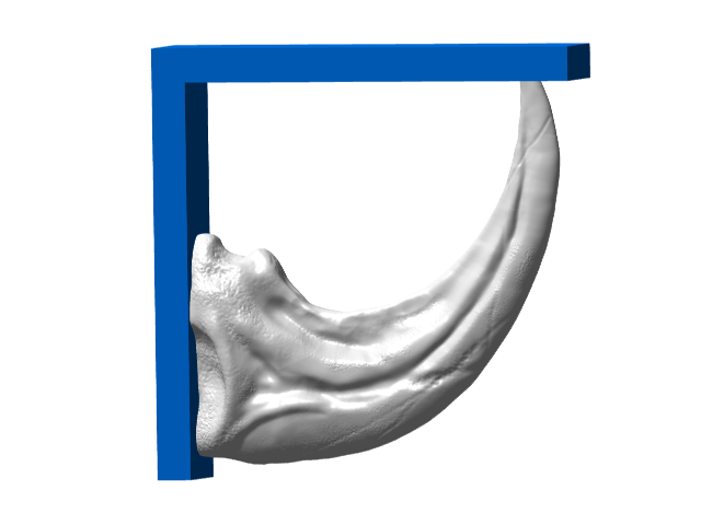 Raptor Claw Shelf Bracket (Nuclear Tape Mount)