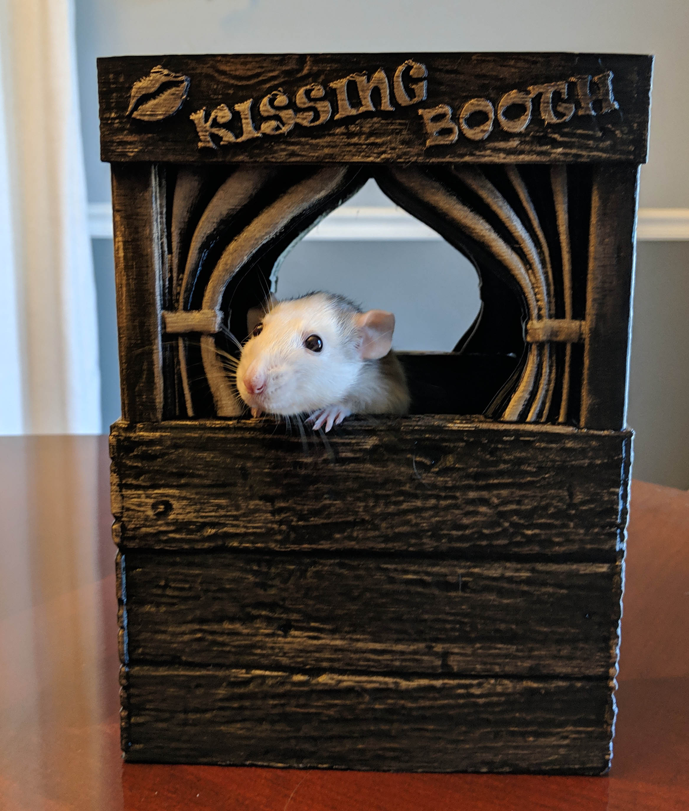 Kissing Booth