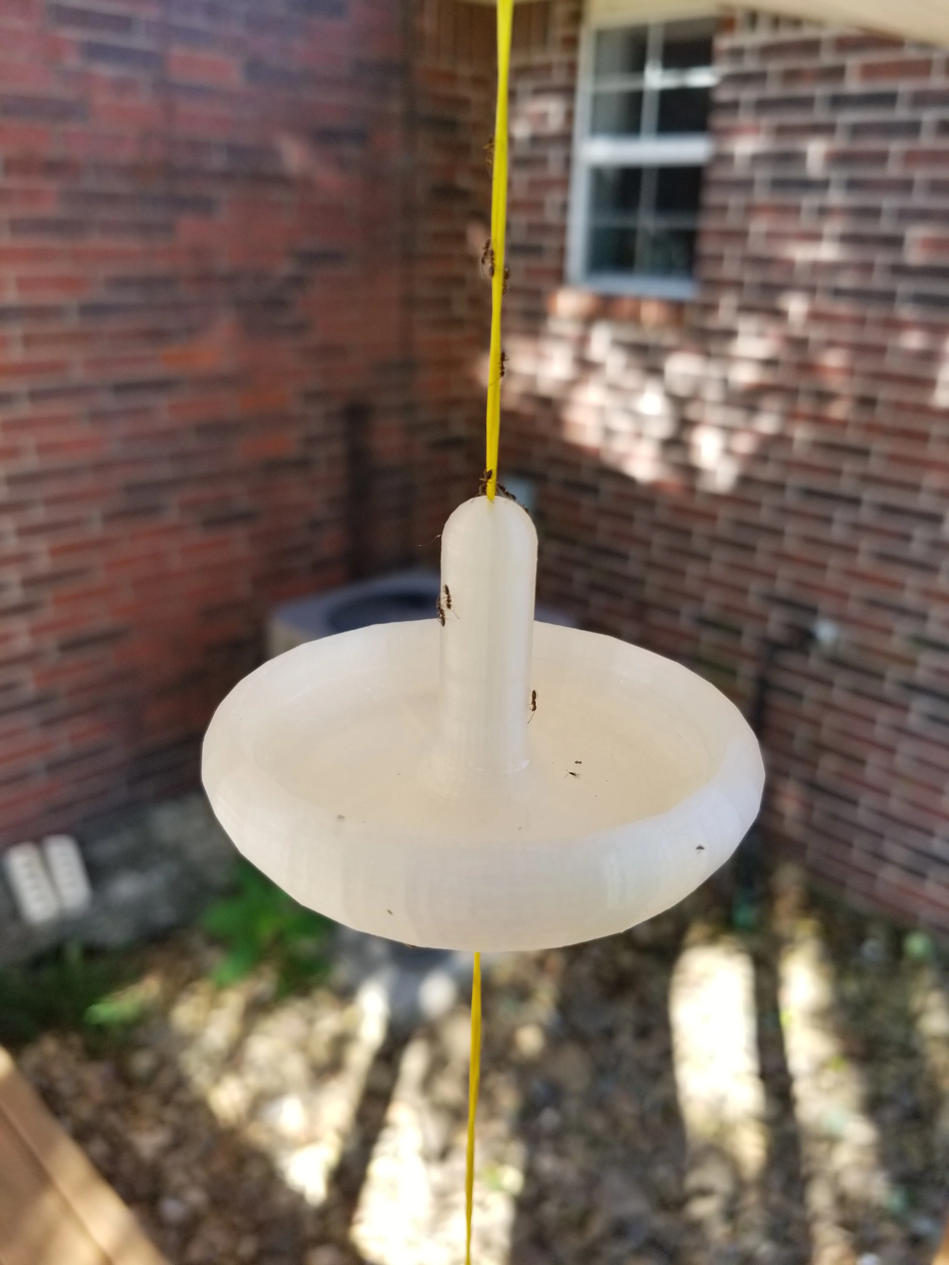 Humming Bird Feeder ANTi