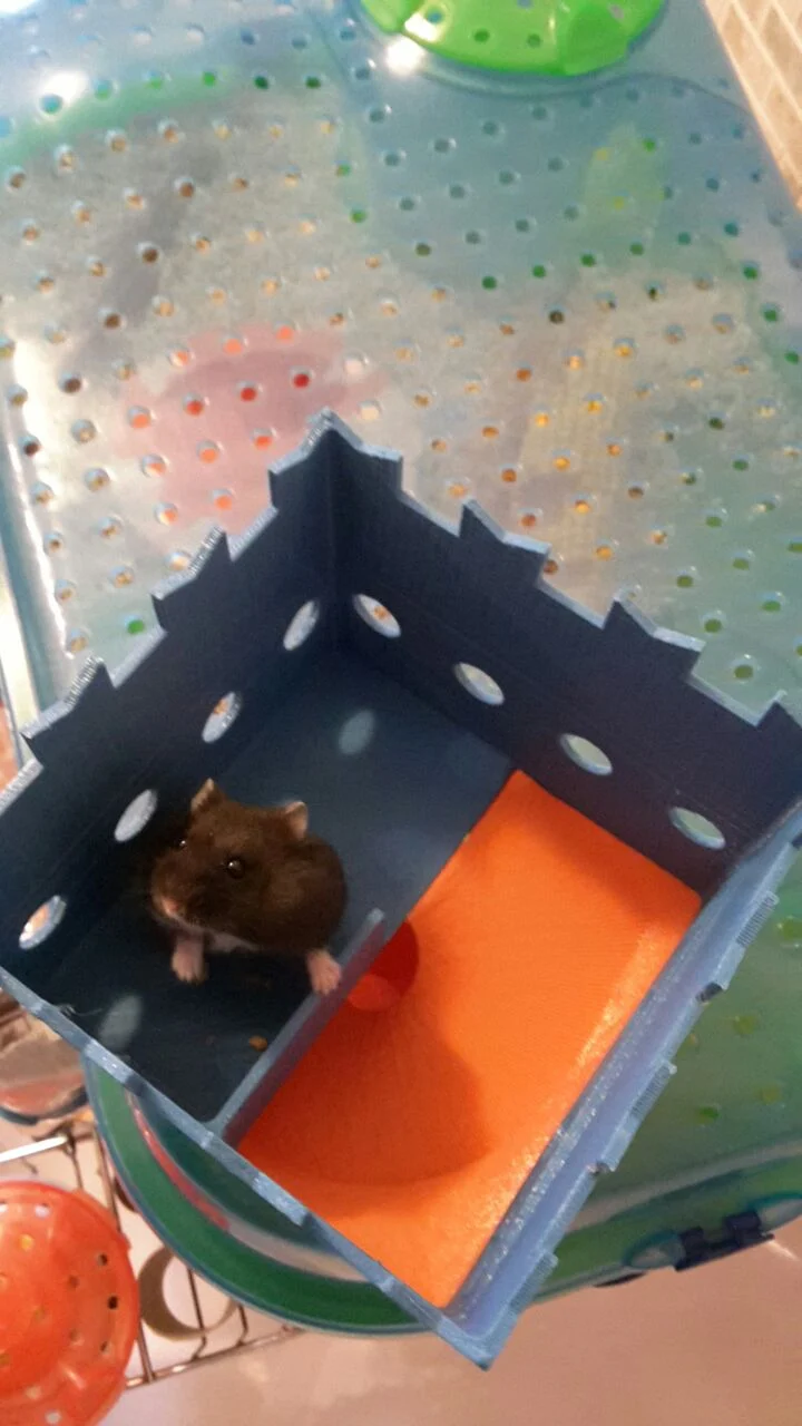 tower for hamster