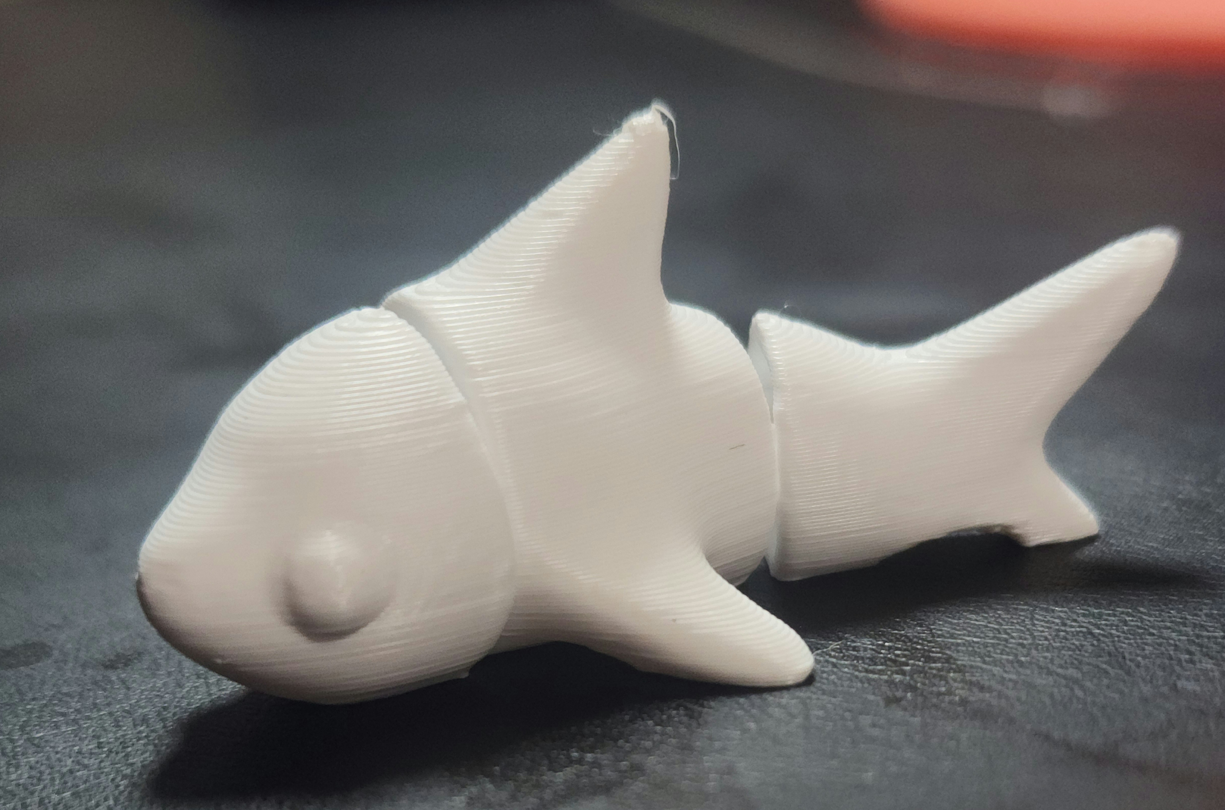 Cute Flexi Shark