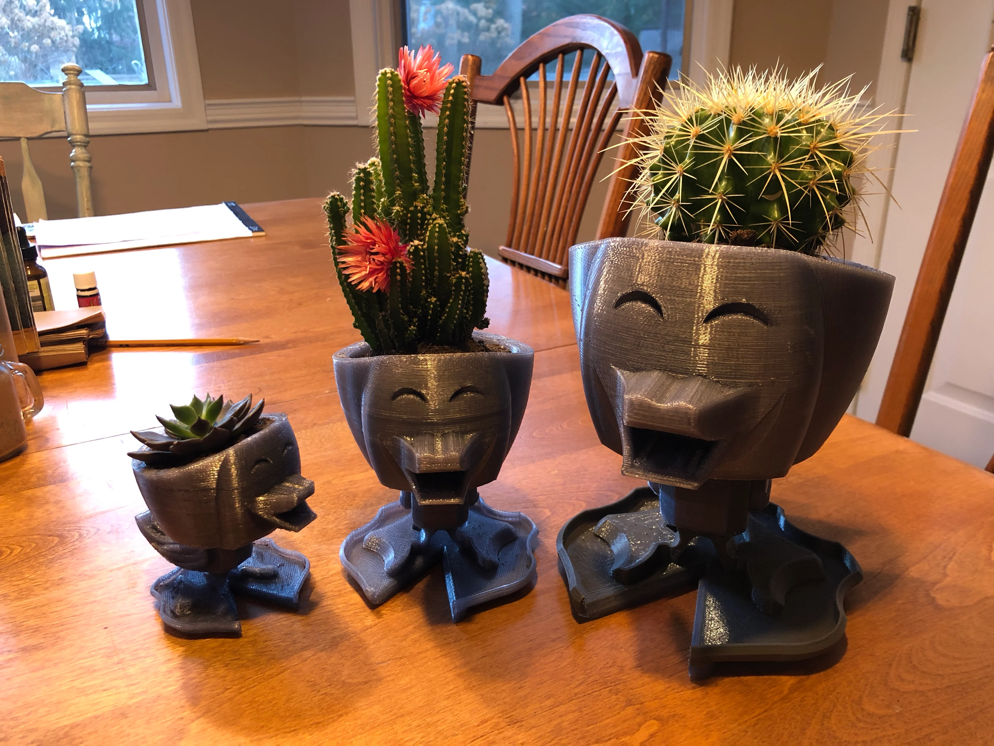 Cactus & Succulent Duck Planter
