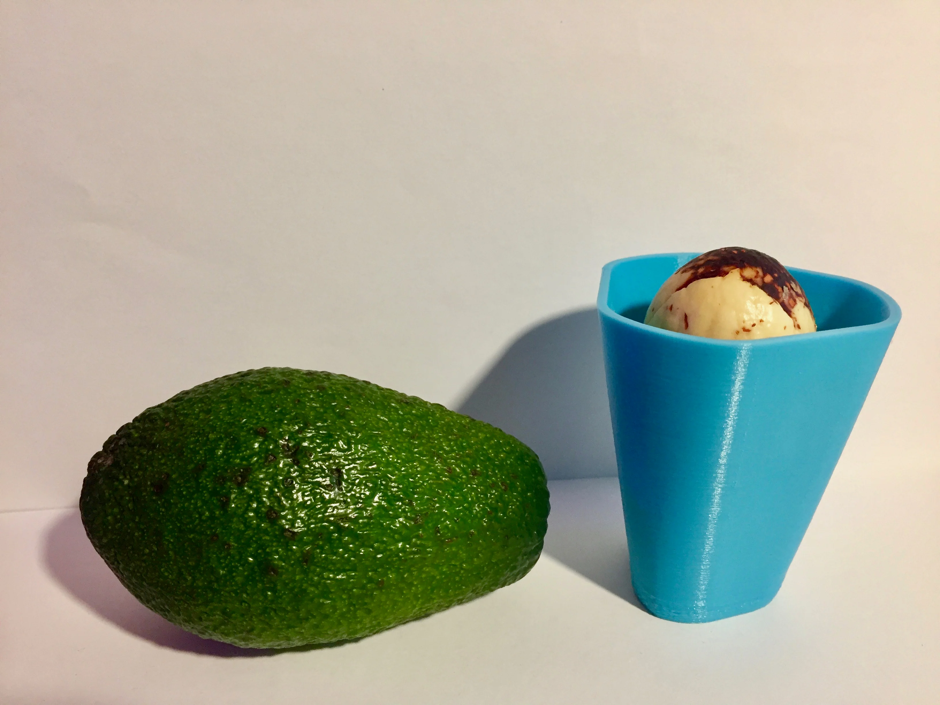 Avocado Grow Cup