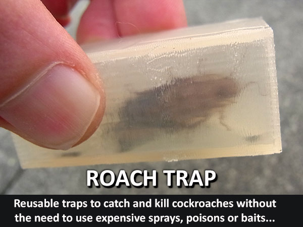 Roach Trap...Reusable trap to catch and kill cockroaches